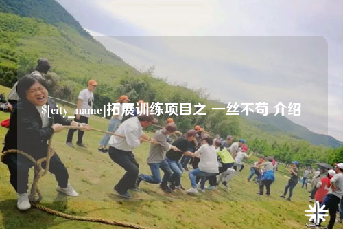 内江拓展训练项目之 一丝不苟 介绍